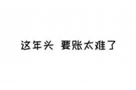 巴音郭楞为什么选择专业追讨公司来处理您的债务纠纷？